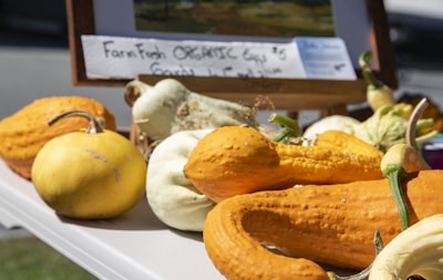 A variety of gourds with different shapes and textures are arranged on a table. The gourds are predominantly yellow and orange, with some white. In the background, there is a sign partially visible that mentions farm-fresh organic eggs.