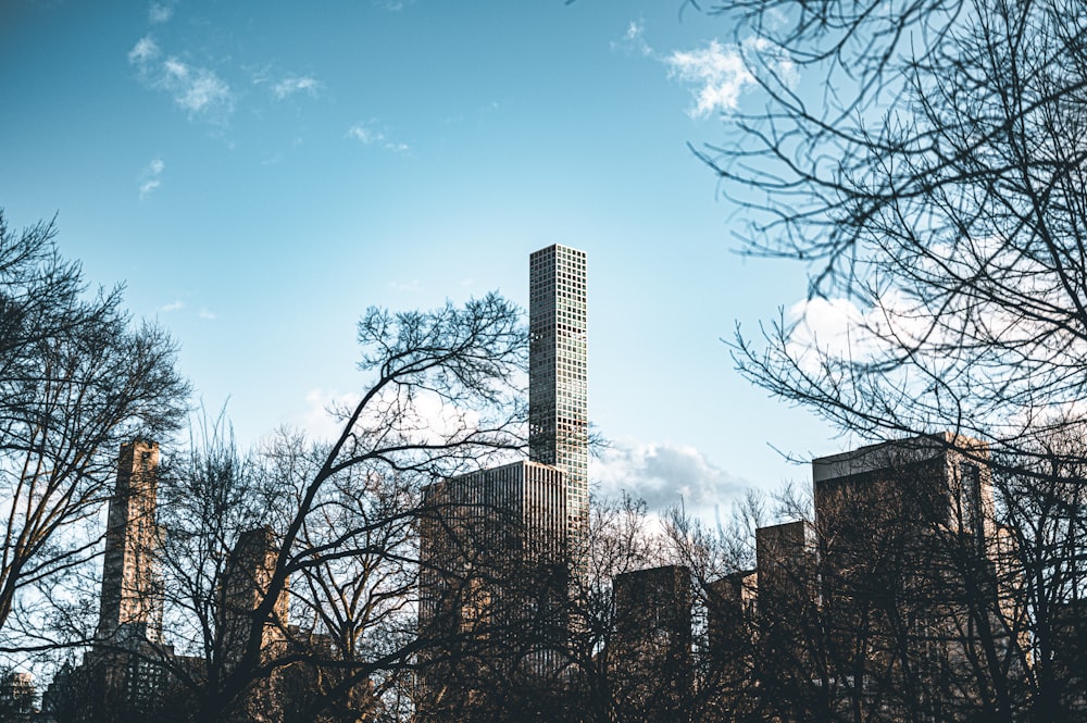 a tall building surrounded by trees on a sunny day