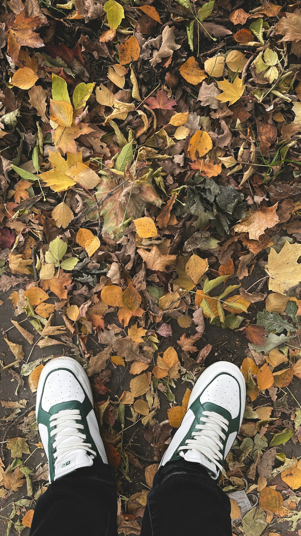 uma pessoa em pé na frente de uma pilha de folhas
