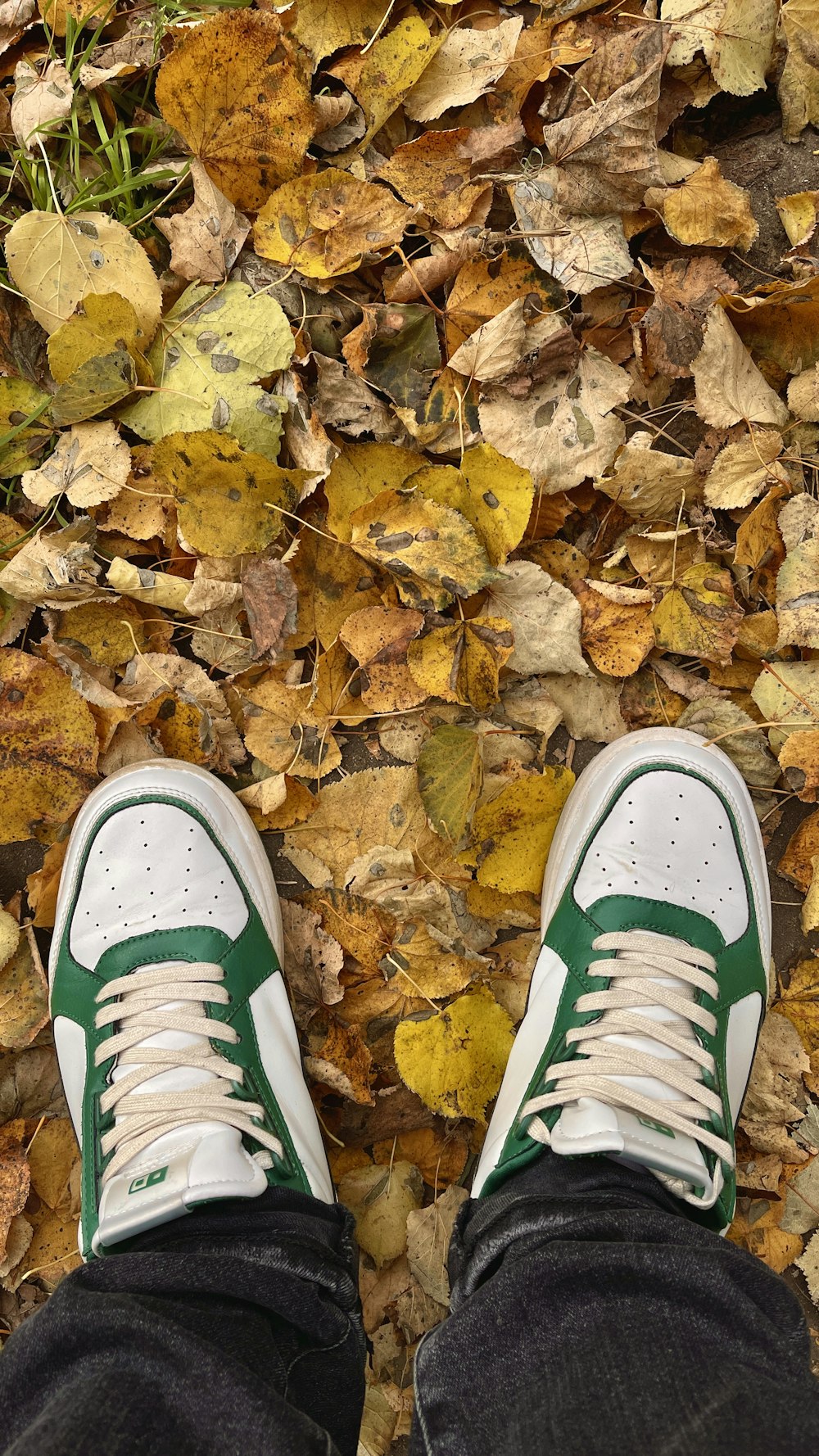 una persona in piedi su un terreno coperto di foglie