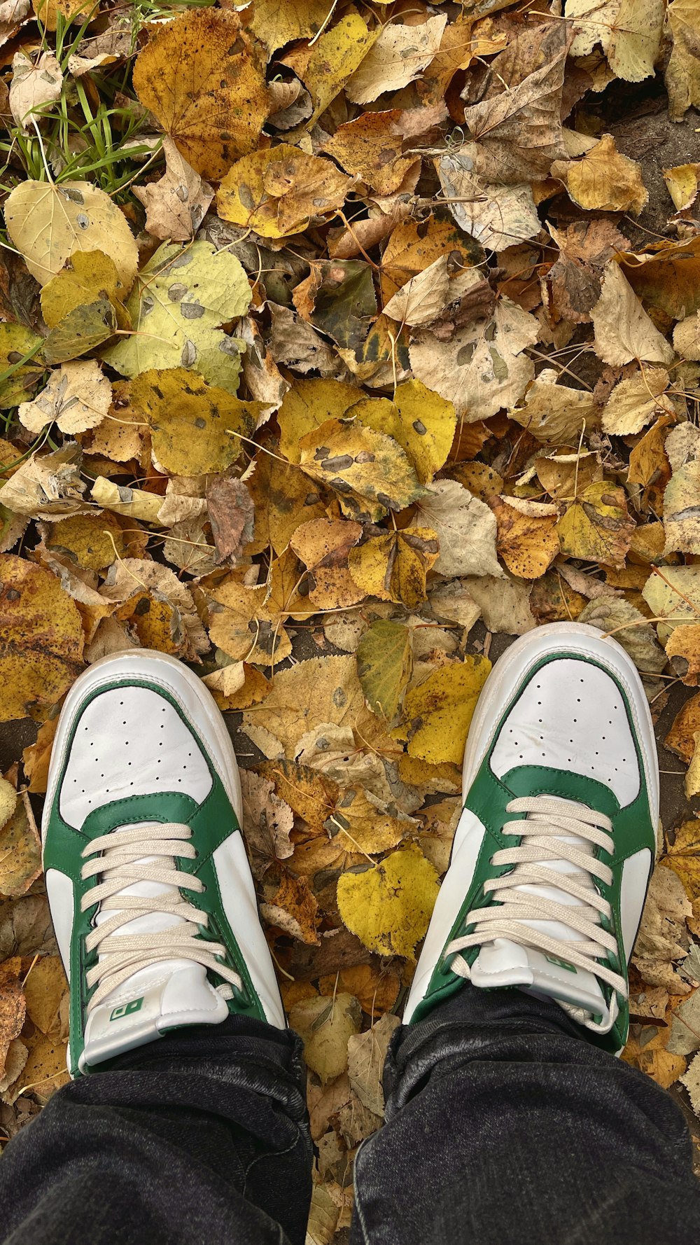 a person standing on a leaf covered ground