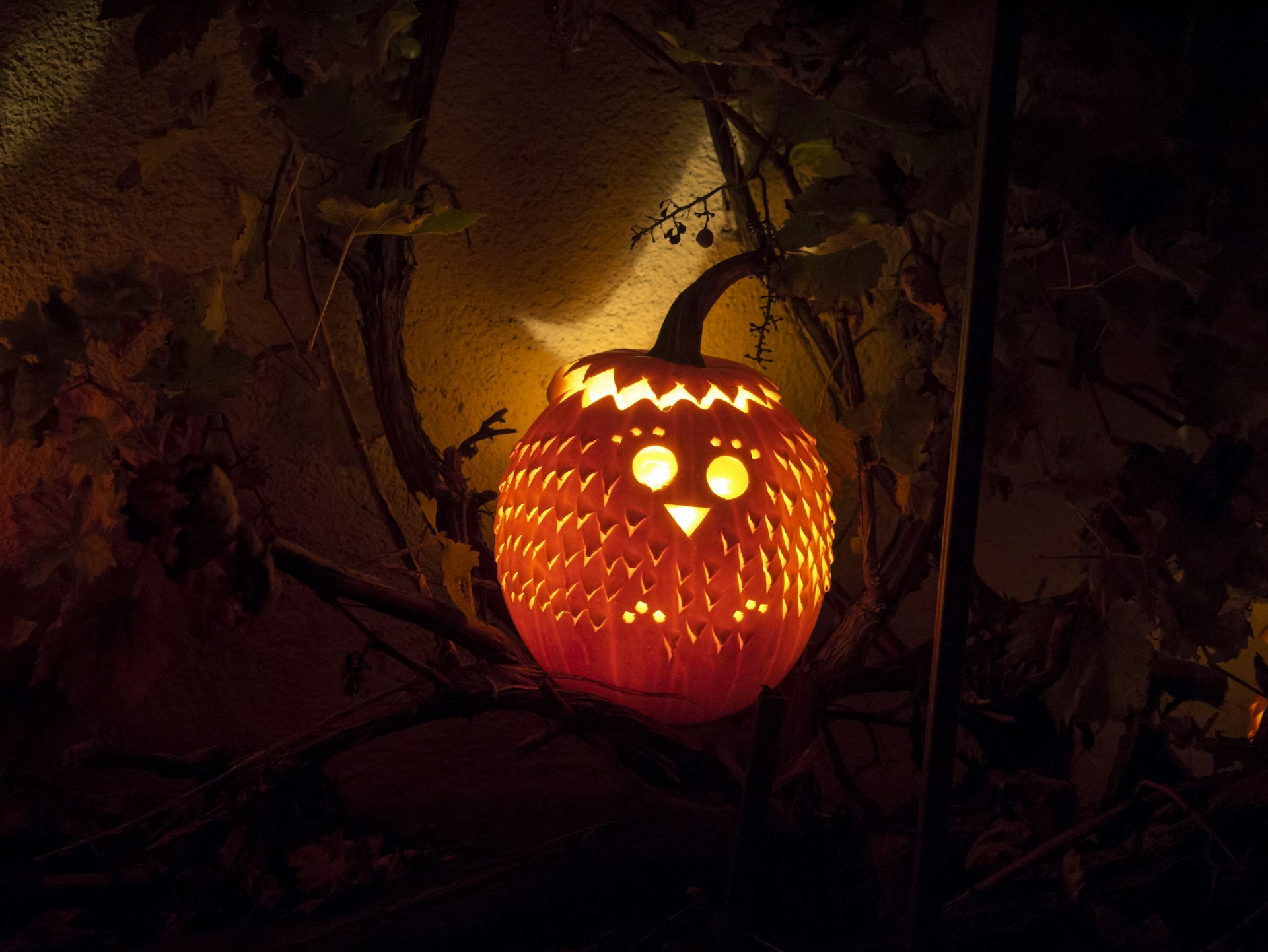 a carved pumpkin sitting on top of a tree