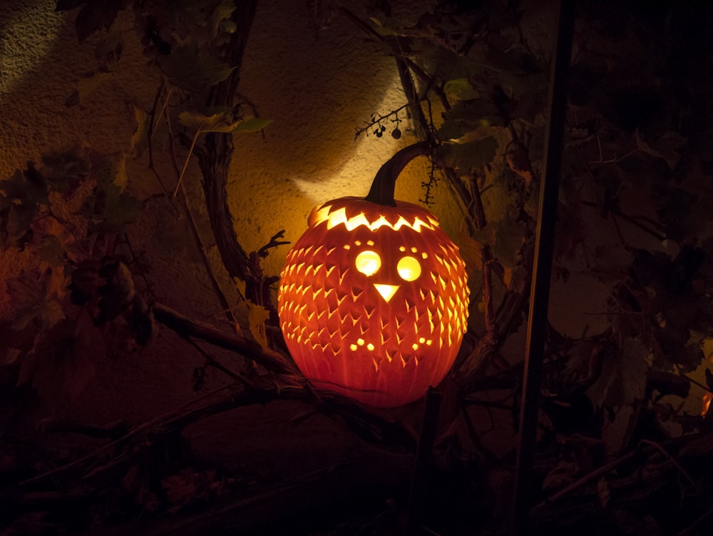 a carved pumpkin sitting on top of a tree