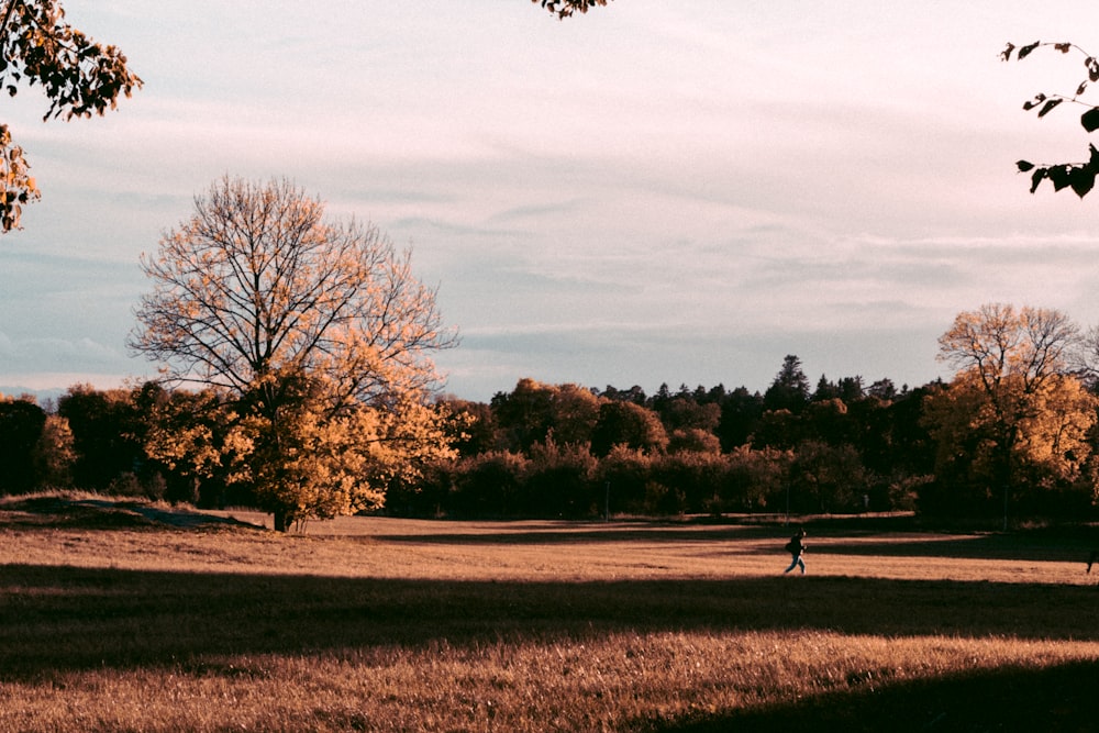 a person in a field with trees in the background