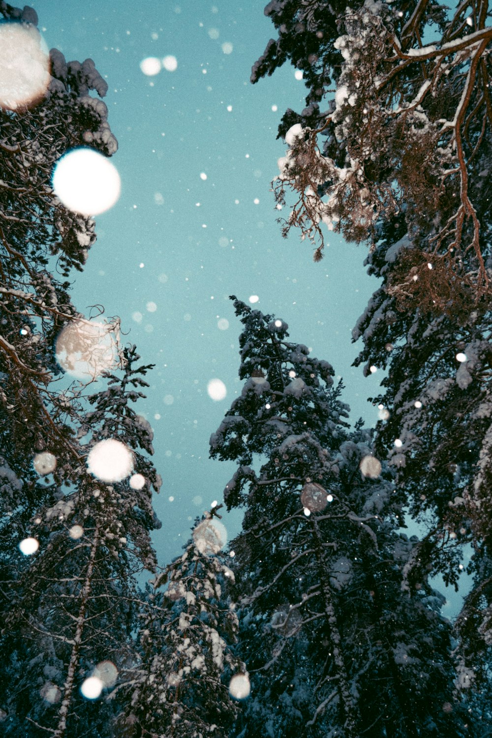 Eine Gruppe von Menschen in einem Wald