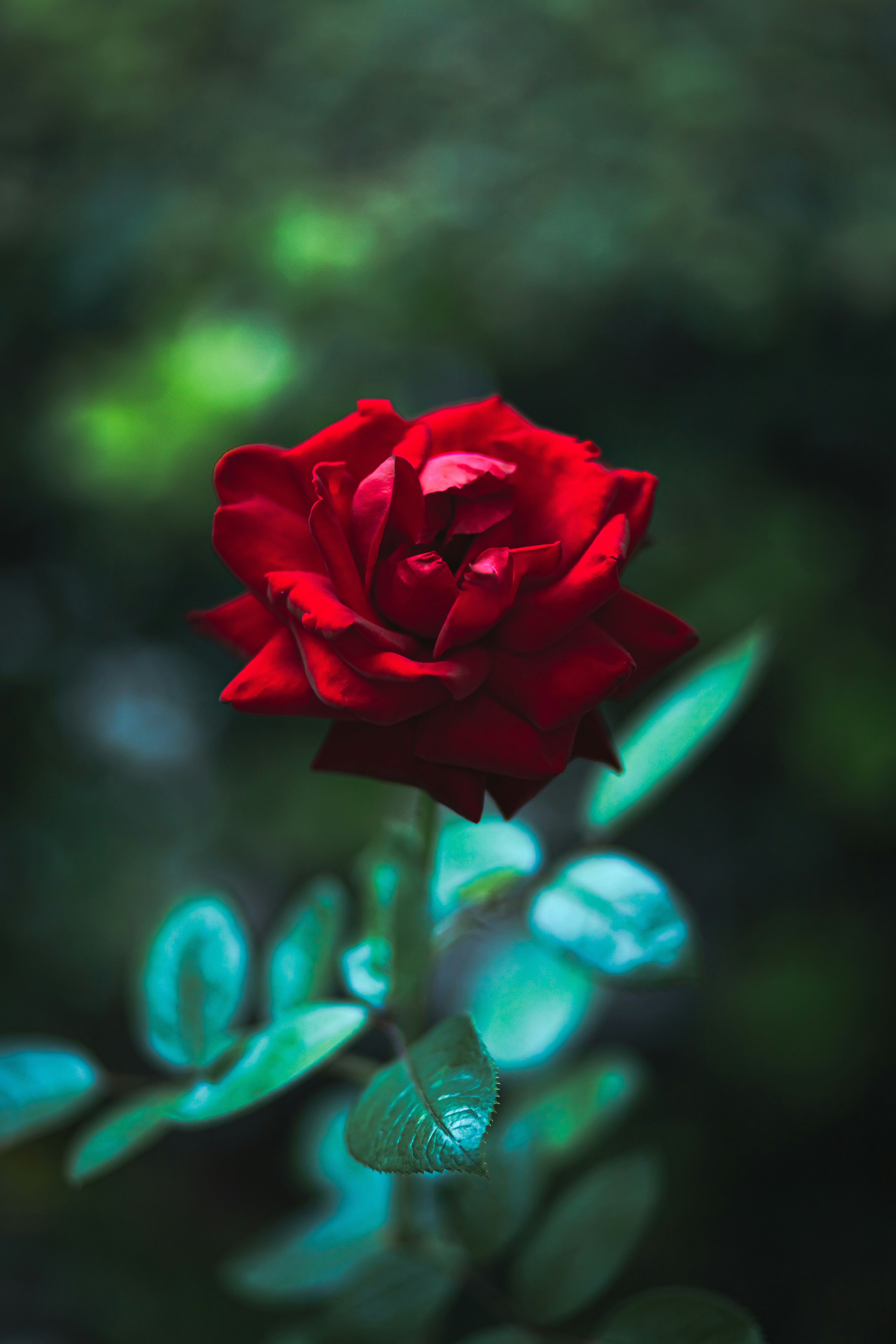 Photo by photocam_est