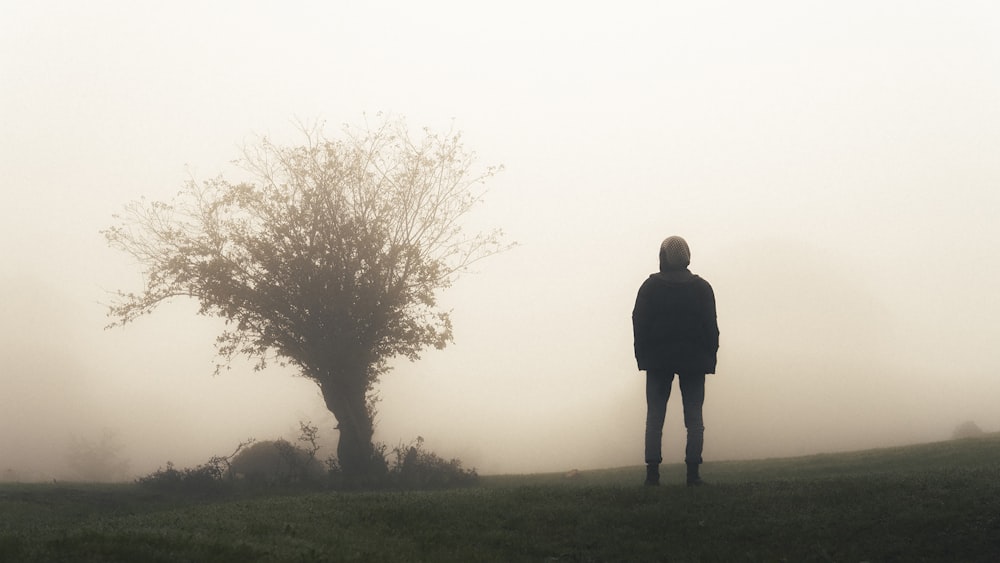 a person standing in a field with a tree in the fog