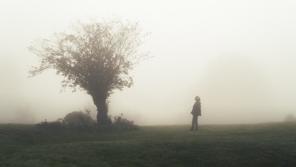 uma pessoa em pé em um campo com uma árvore no nevoeiro