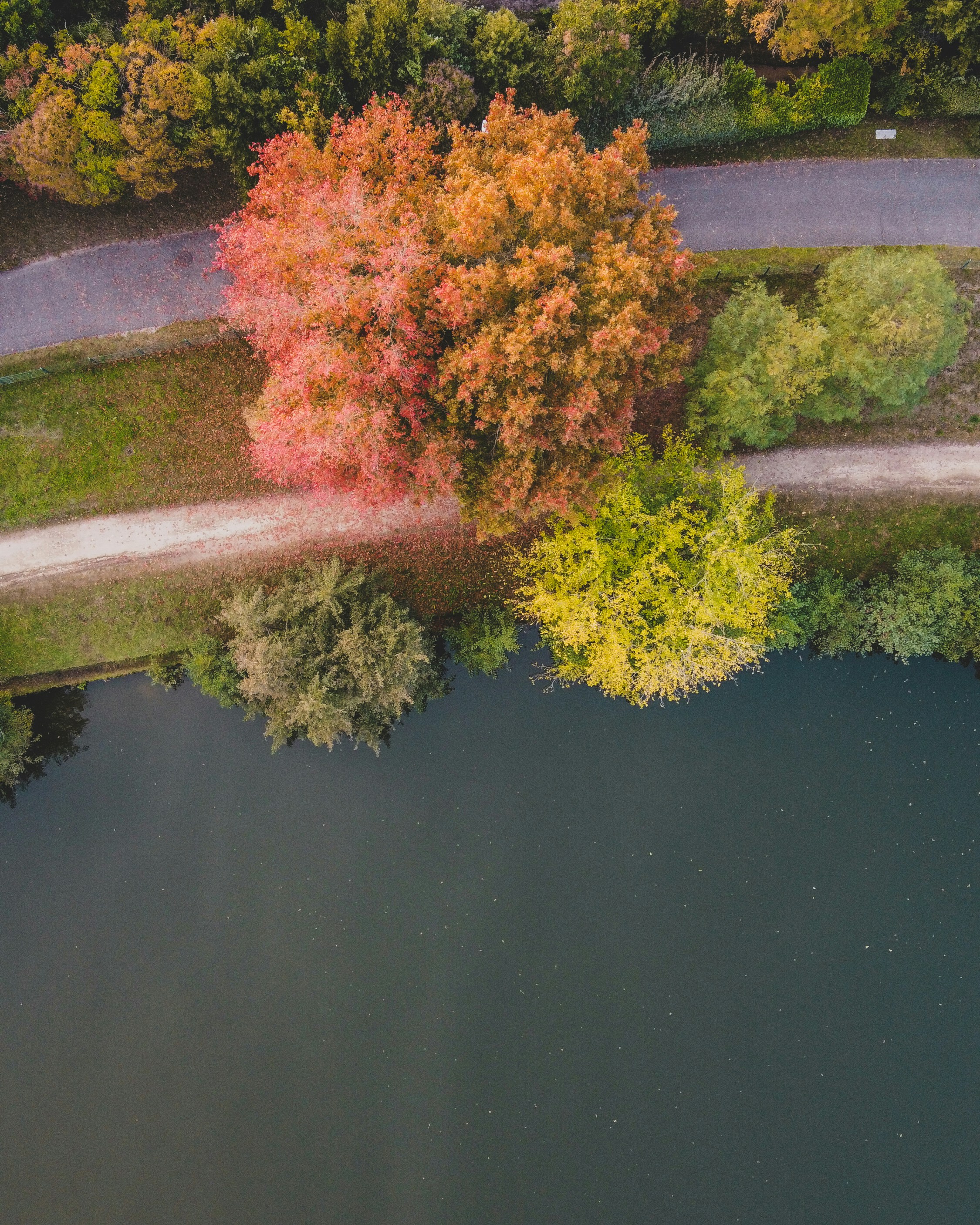 Photo by czapp_arpad