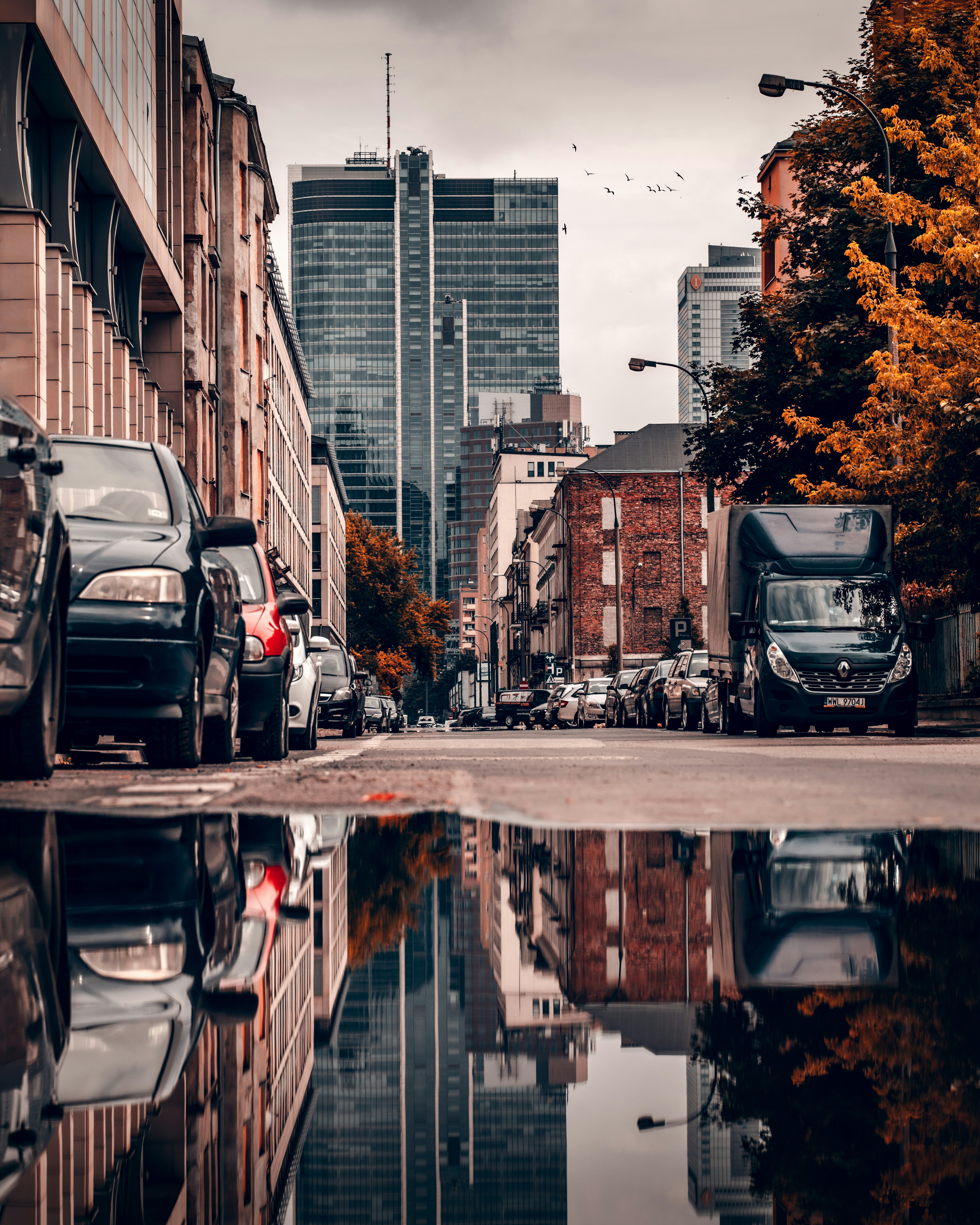 Photo by borkography