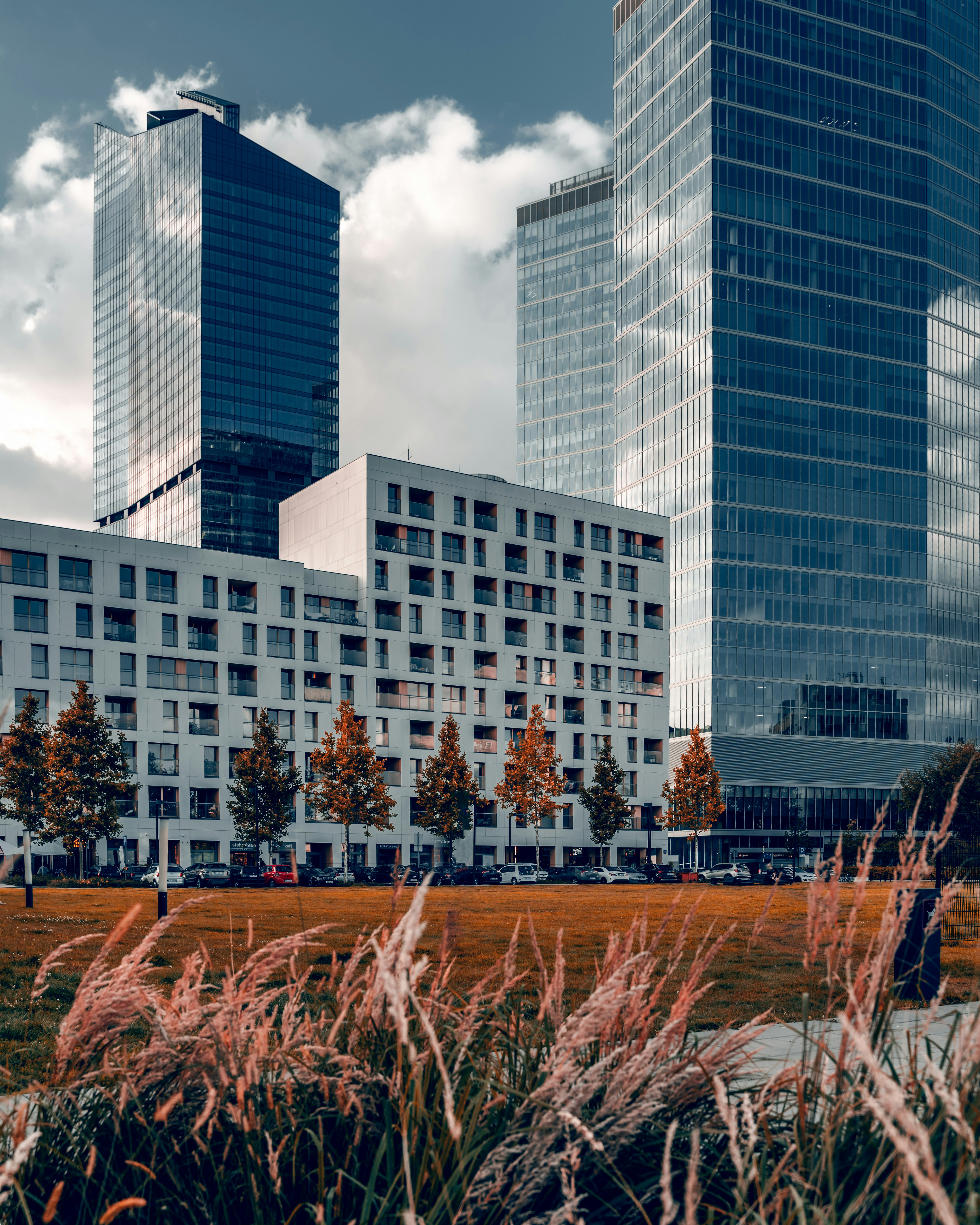 Photo by borkography