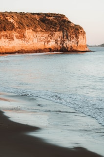 A sunlit beach scene with soft waves and a hint of coastal vegetation, capturing the serene California coast.