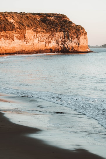A sunlit beach scene with soft waves and a hint of coastal vegetation, capturing the serene California coast.