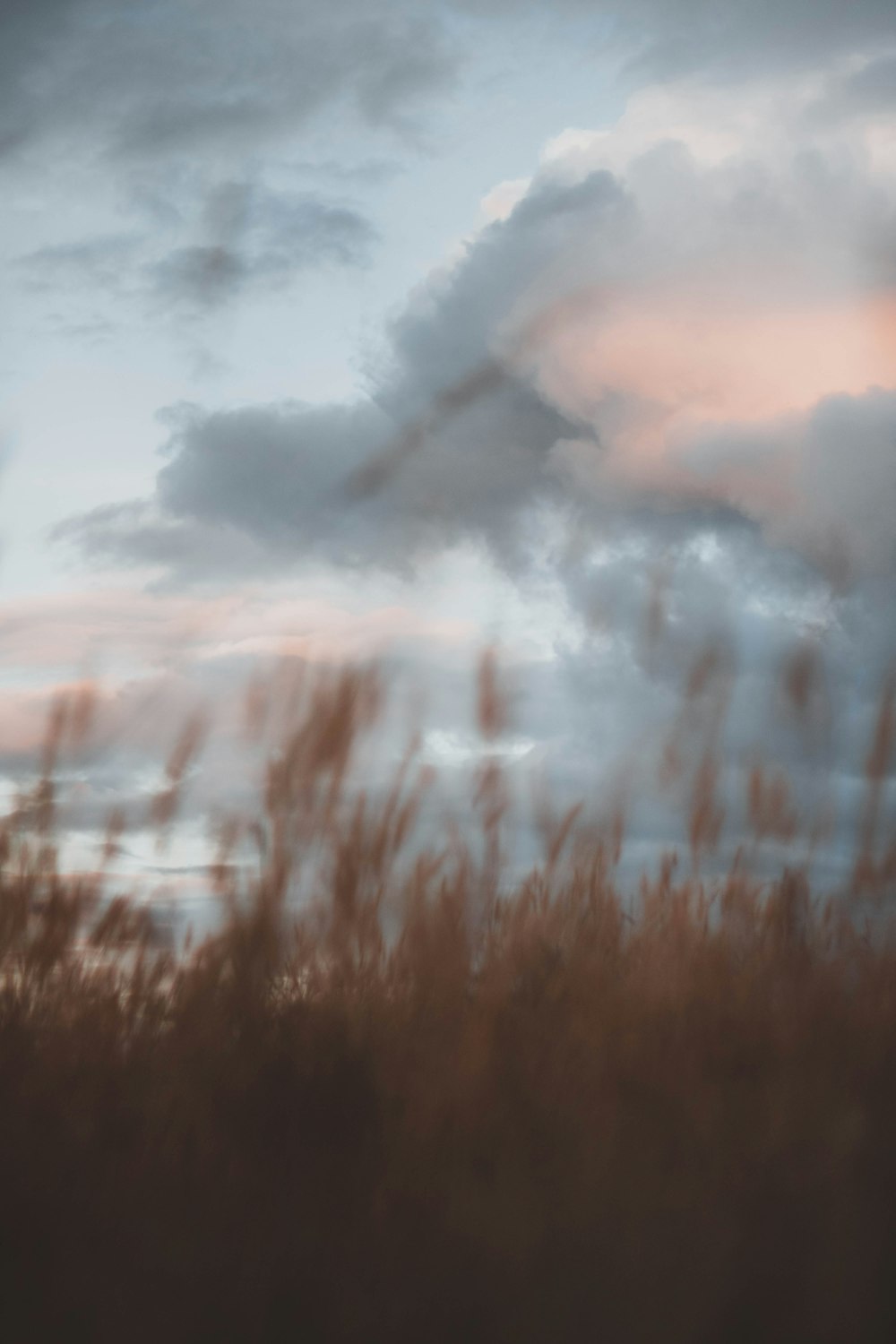 a field with tall grass and clouds in the background