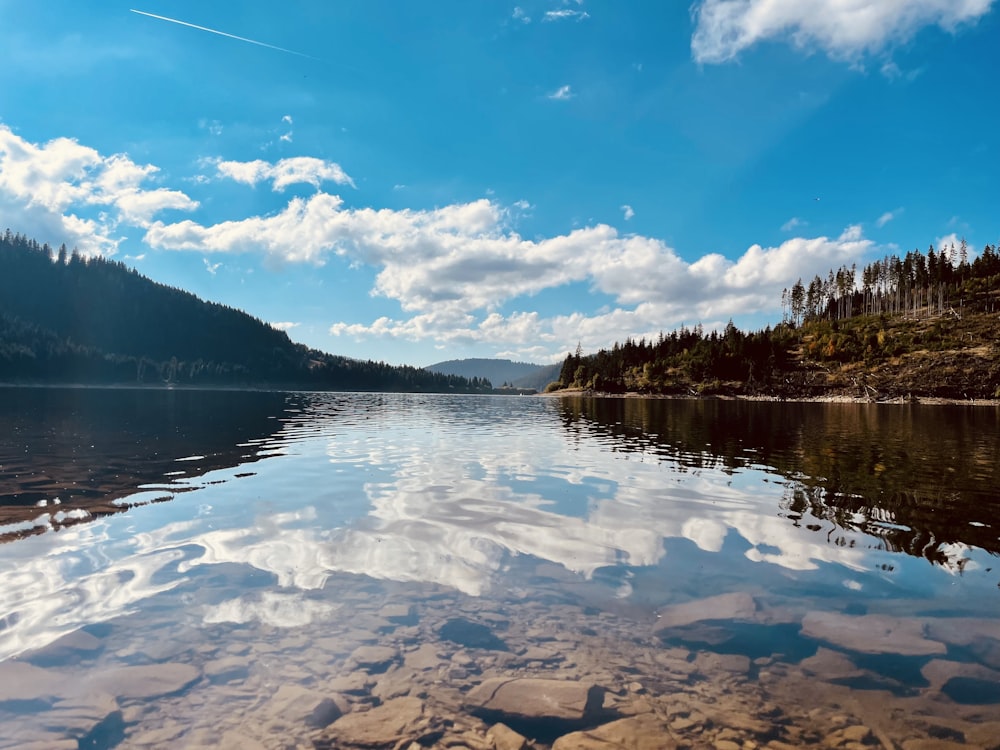 a body of water surrounded by trees and rocks