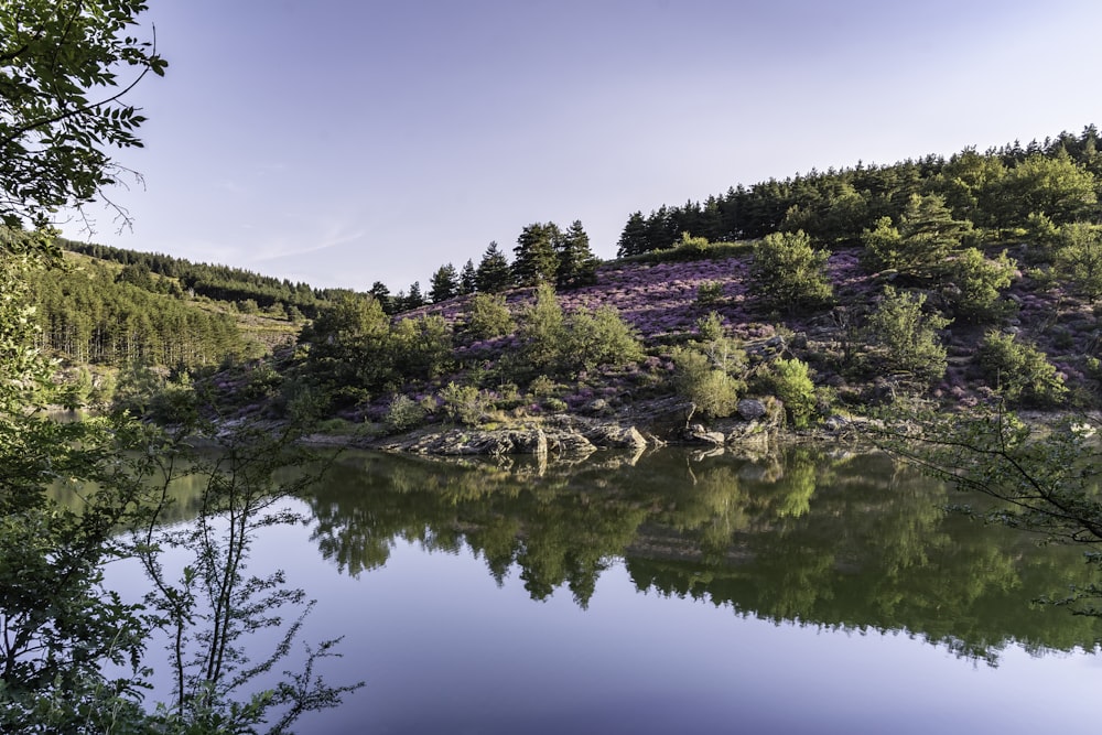 a large body of water surrounded by trees