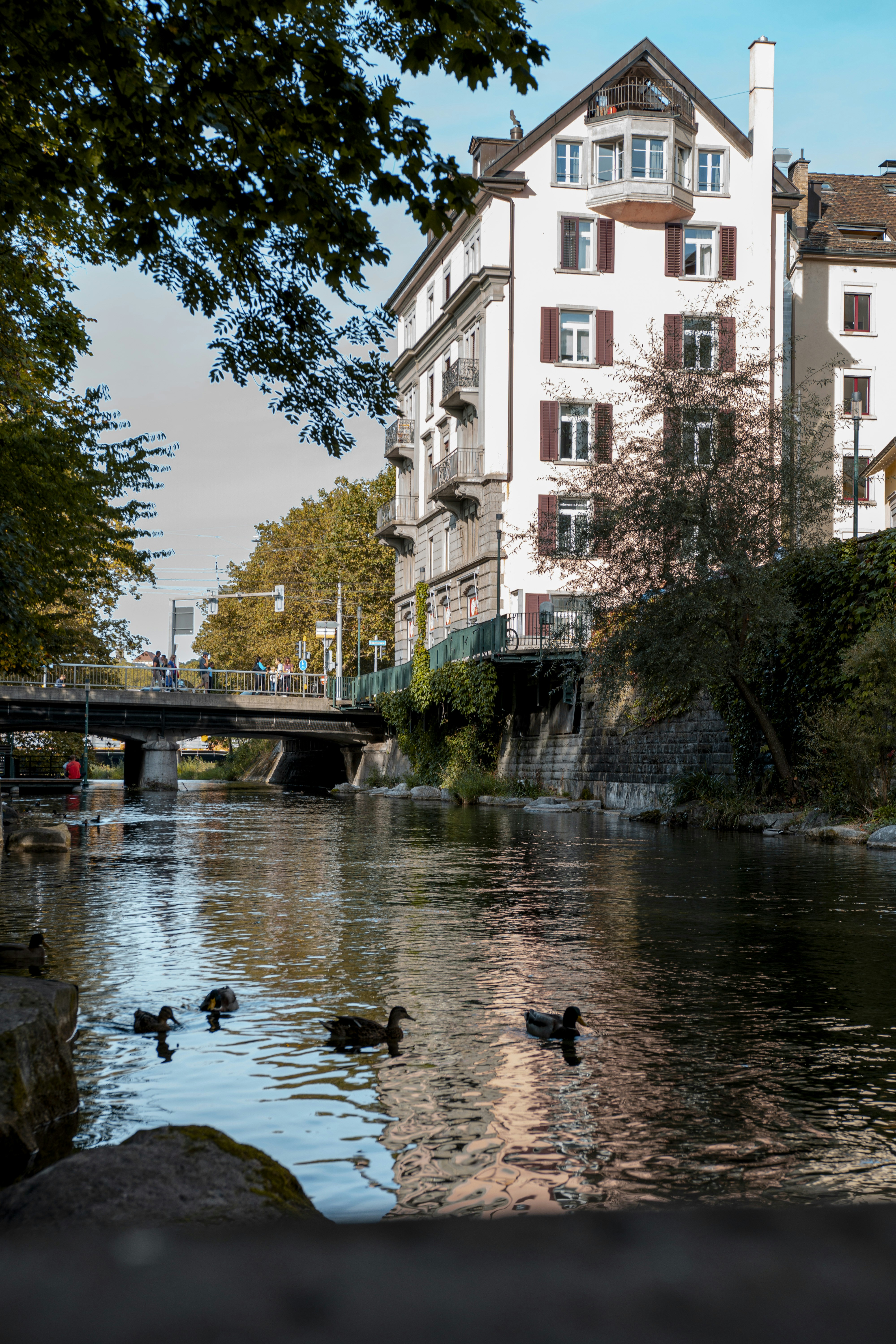 Photo by lofted_track