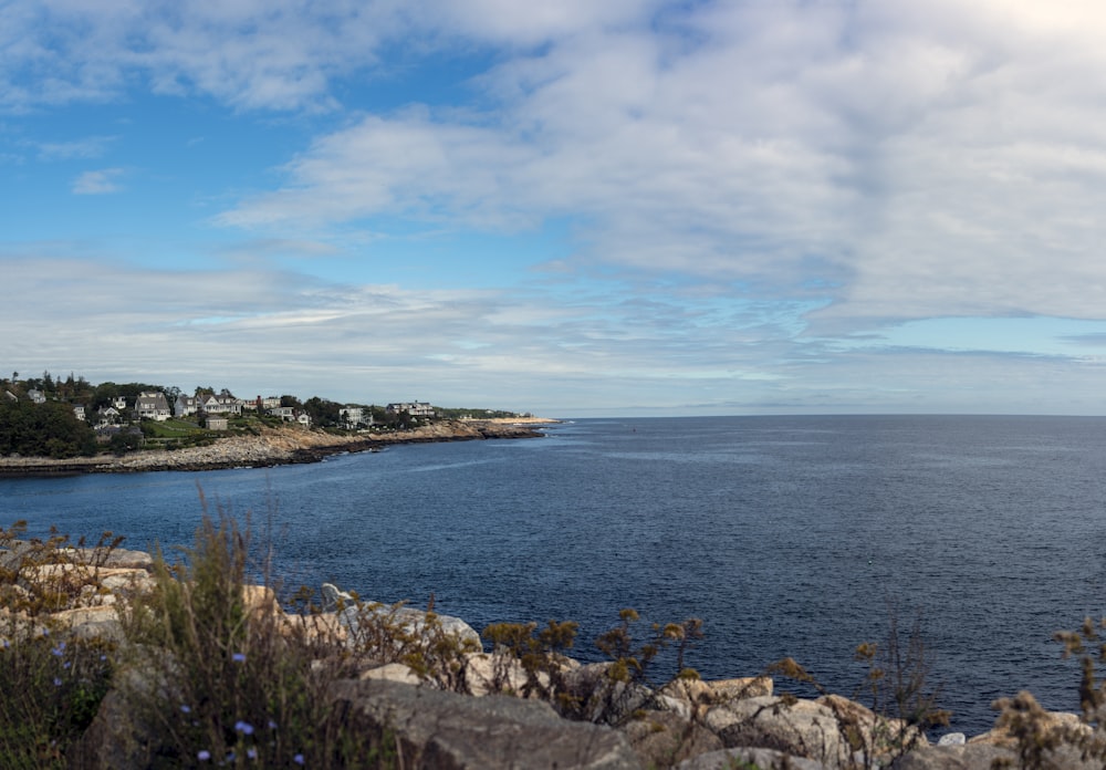 a body of water surrounded by rocks and plants