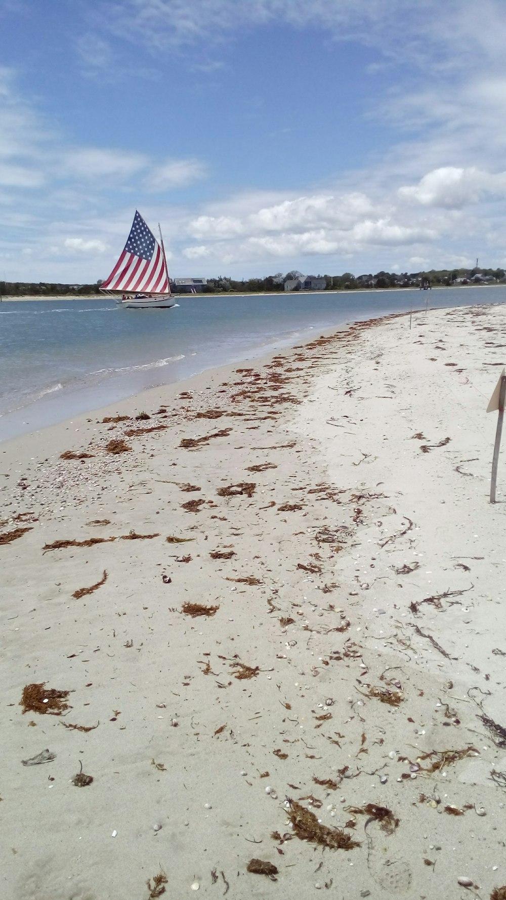 a sailboat in the water on a beach