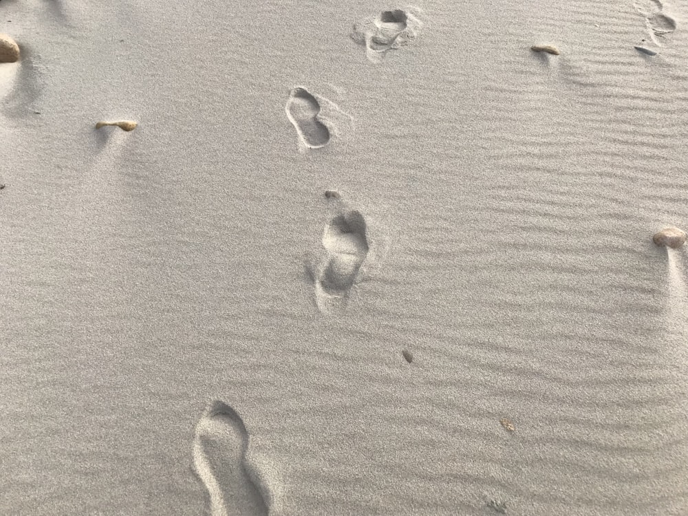 footprints in the sand of a beach