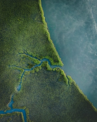 Drone shot of a lush green landscape with winding roads and waterways.