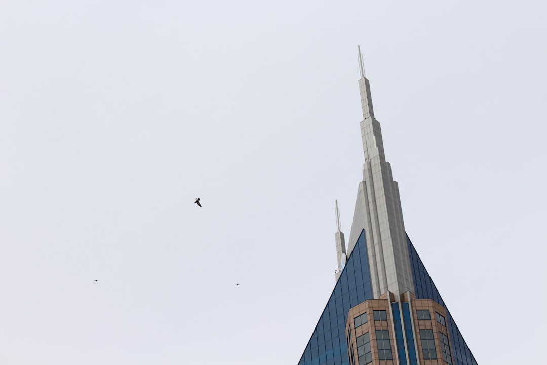 a very tall building with a bird flying by,