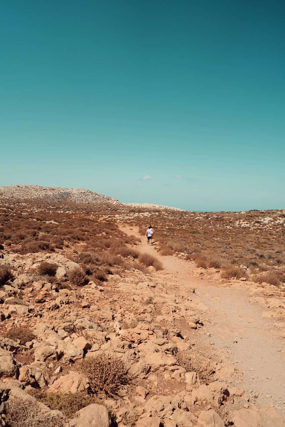 a person walking down a dirt path in the desert