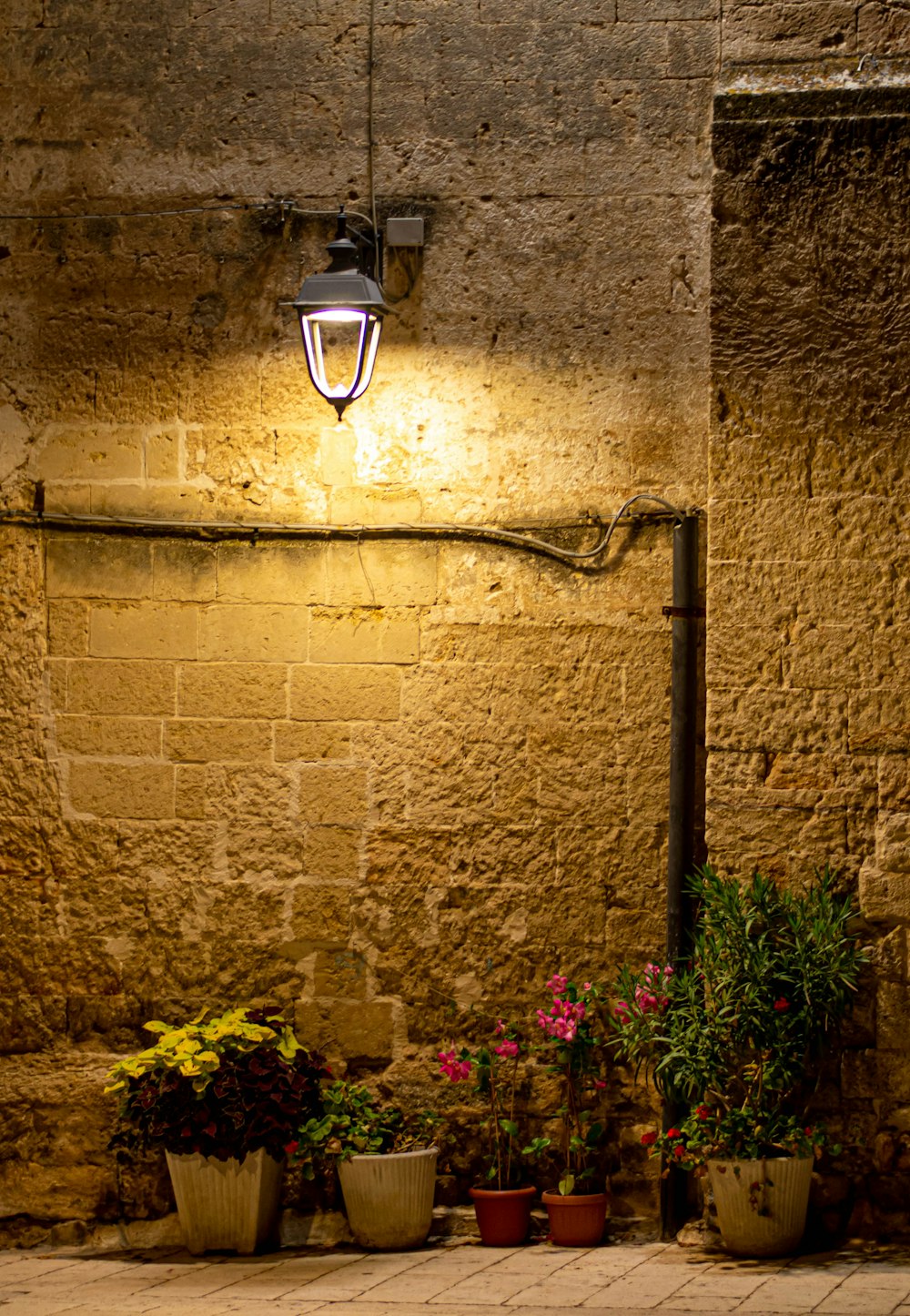 a lamp that is on above some potted plants