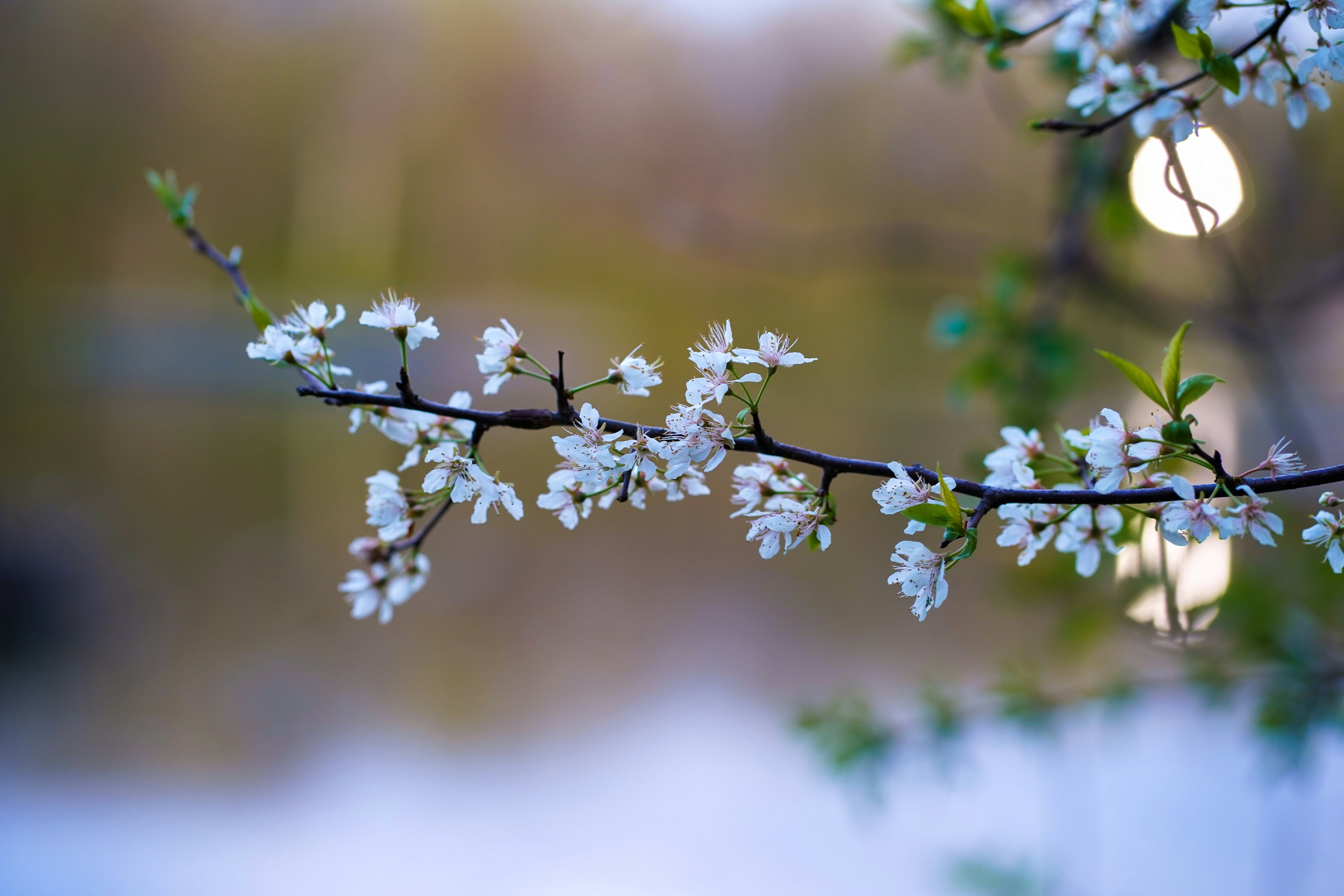 Photo by rebekahdummer