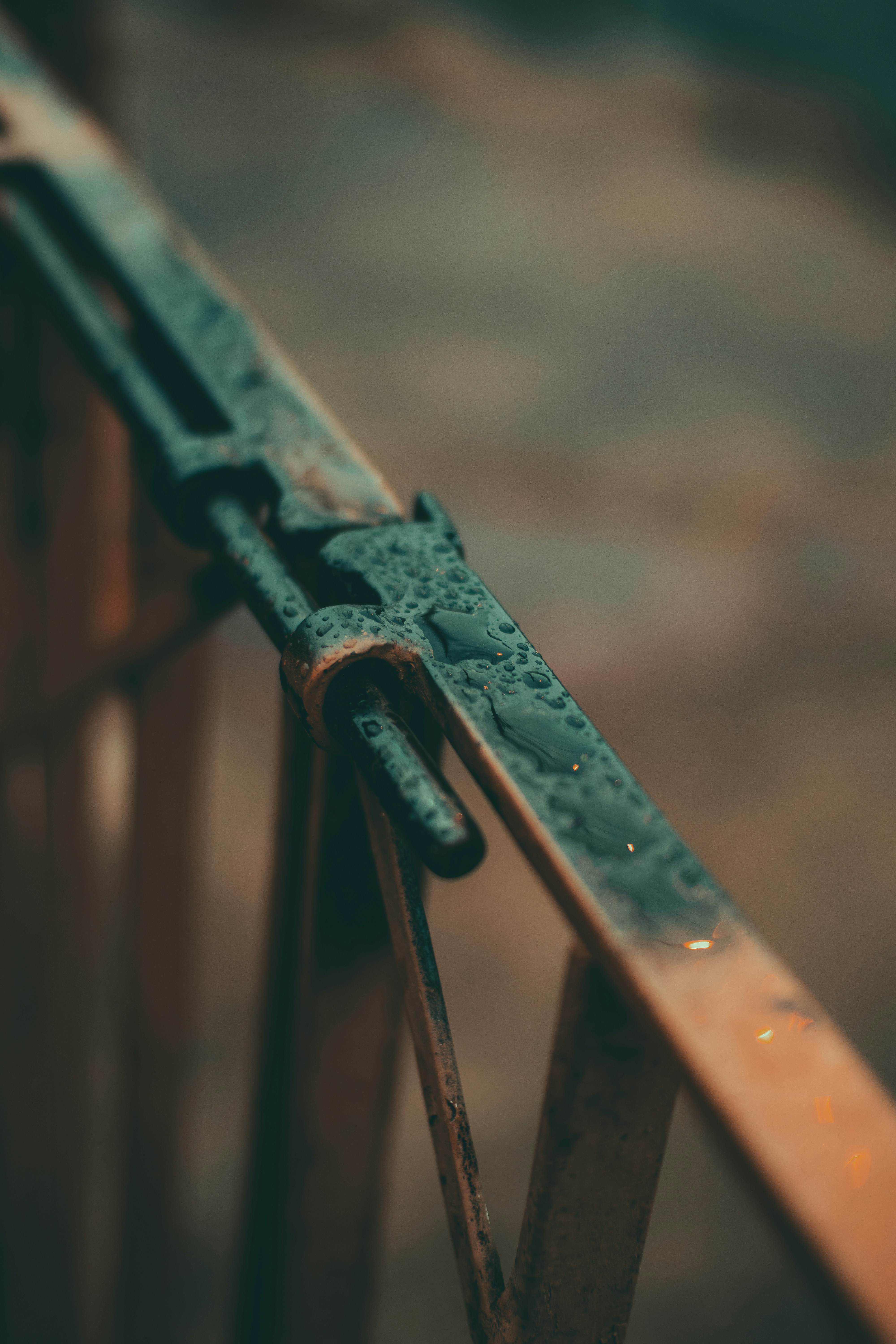 Photo by pedro_dutra