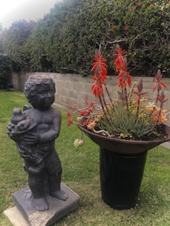 A garden setting with a stone statue of a cherub holding an object in its arms. Next to it is a black planter containing a variety of succulents and tall orange-red flowers. The background features a lush green hedge and a brick wall.