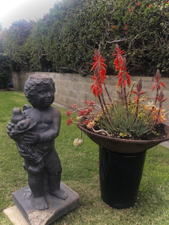 A garden setting with a stone statue of a cherub holding an object in its arms. Next to it is a black planter containing a variety of succulents and tall orange-red flowers. The background features a lush green hedge and a brick wall.
