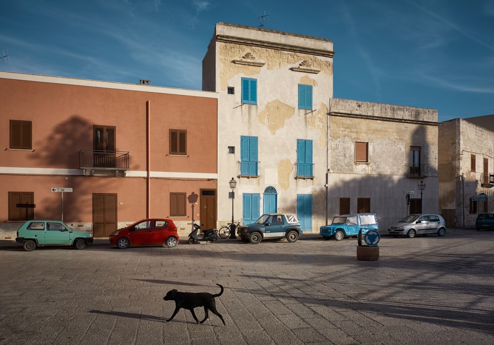 a black dog walking across a parking lot next to a building