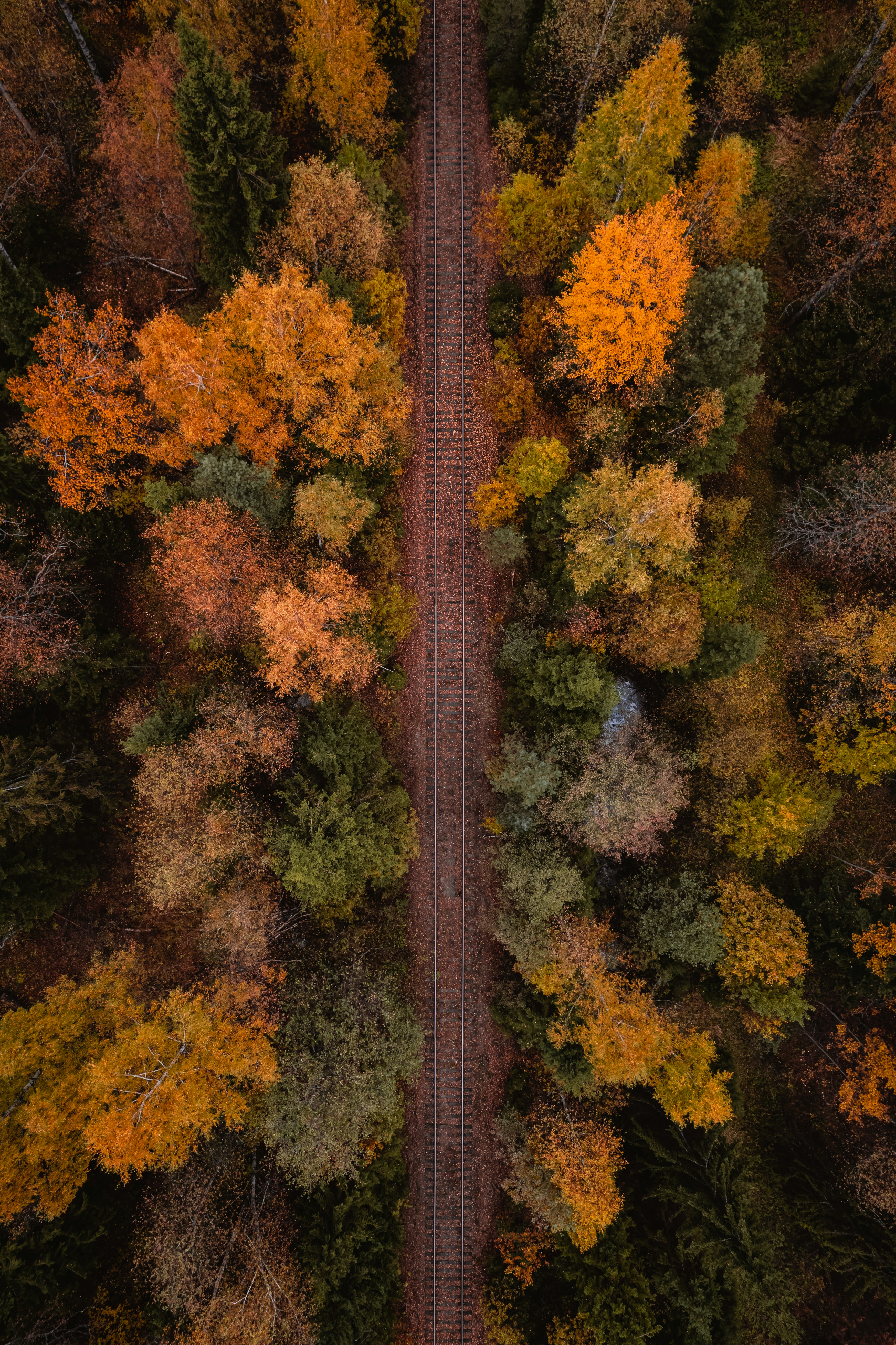 an aerial view of a train track through a forest