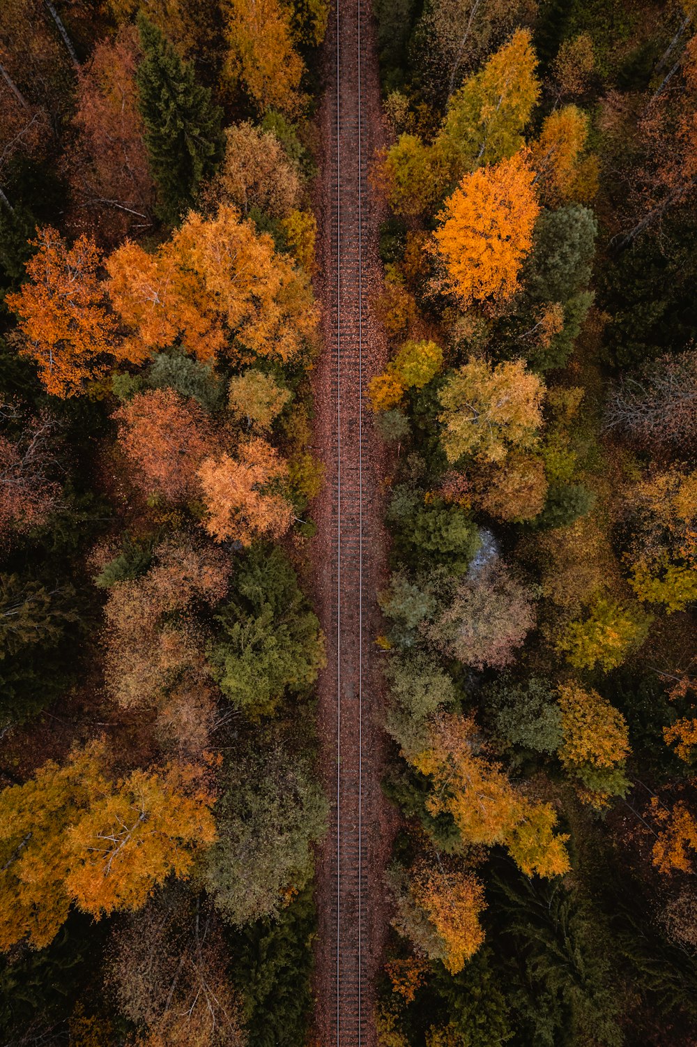 an aerial view of a train track through a forest