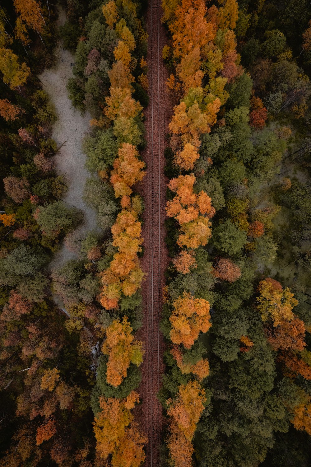 an aerial view of a road surrounded by trees