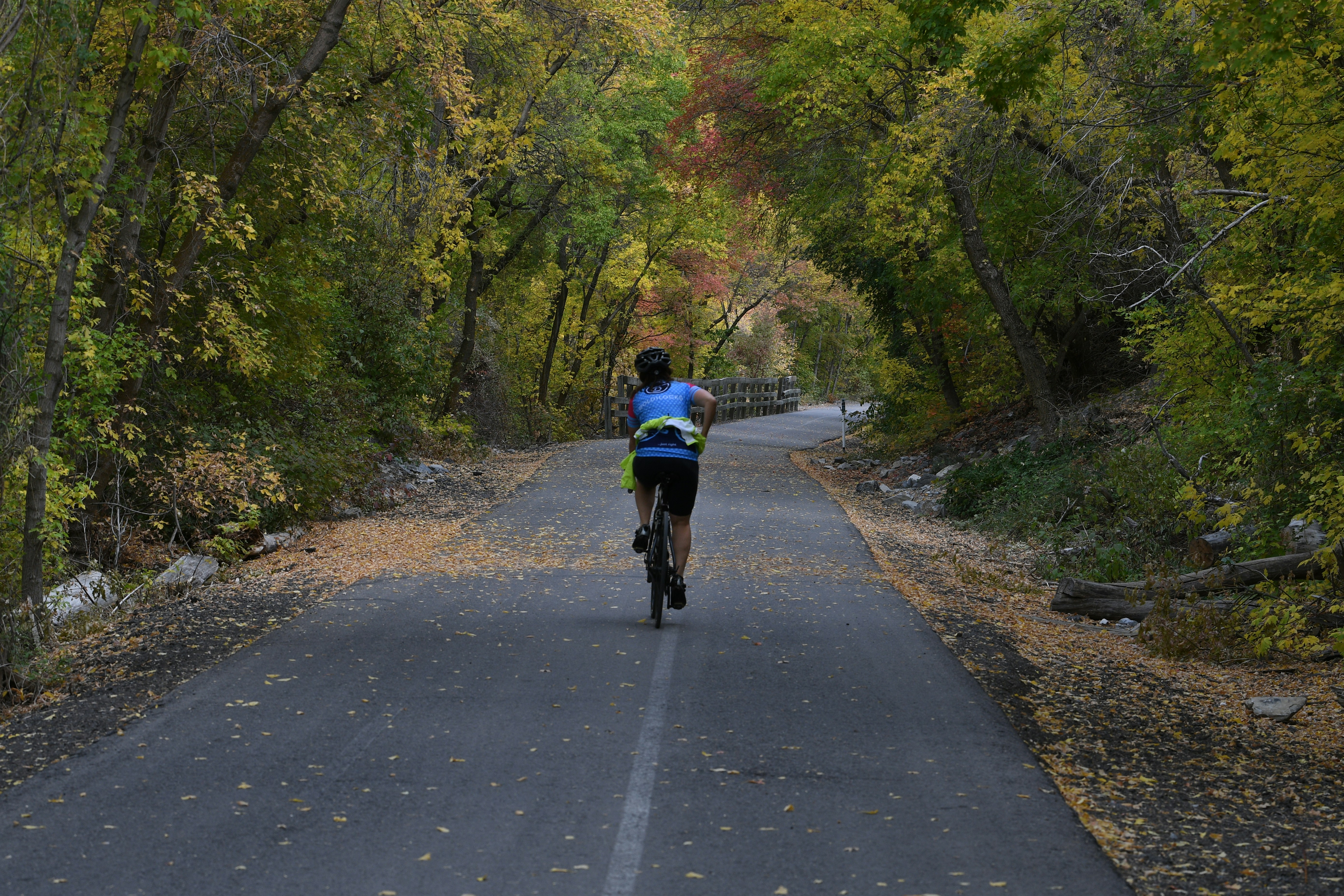 a man riding a bike down a road surrounded by trees
