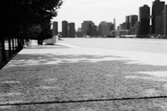 A black and white photograph capturing a textured stone surface in the foreground, with trees casting shadows to the left. In the background, an urban skyline is visible across a body of water, with tall buildings forming a distinct cityscape.