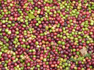 A dense assortment of ripe and unripe coffee cherries in shades of red, green, and orange. The cherries are strewn together closely, with a few leaves scattered among them, conveying a natural and rustic atmosphere.