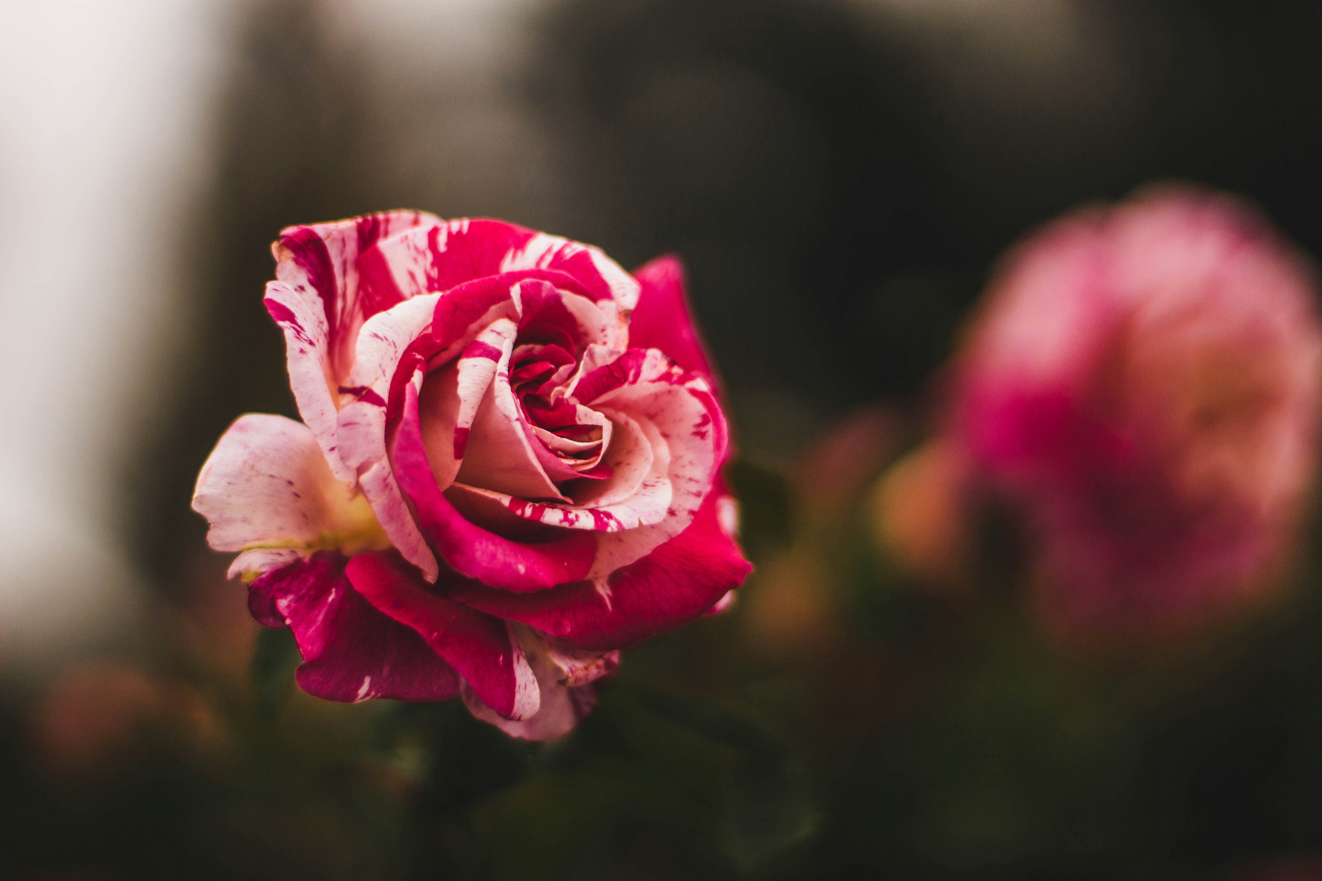 Photo by paysonscott