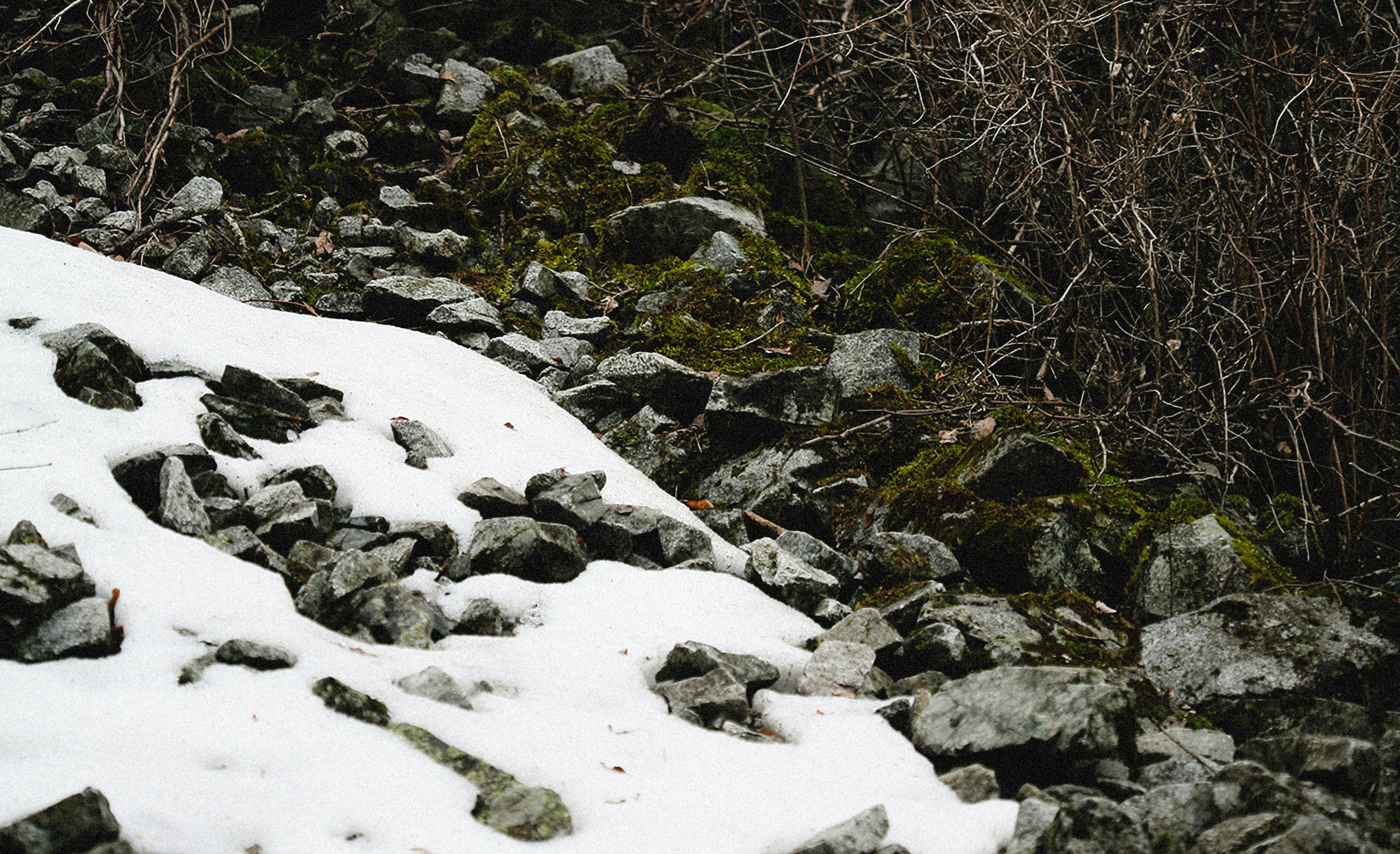 Photo by alexeydemidov