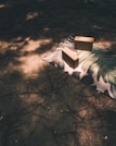 A yoga mat with a leaf pattern lies on the forest floor, accompanied by two cork yoga blocks. Sunlight filters through the trees, casting shadows and creating a peaceful, dappled effect on the ground.