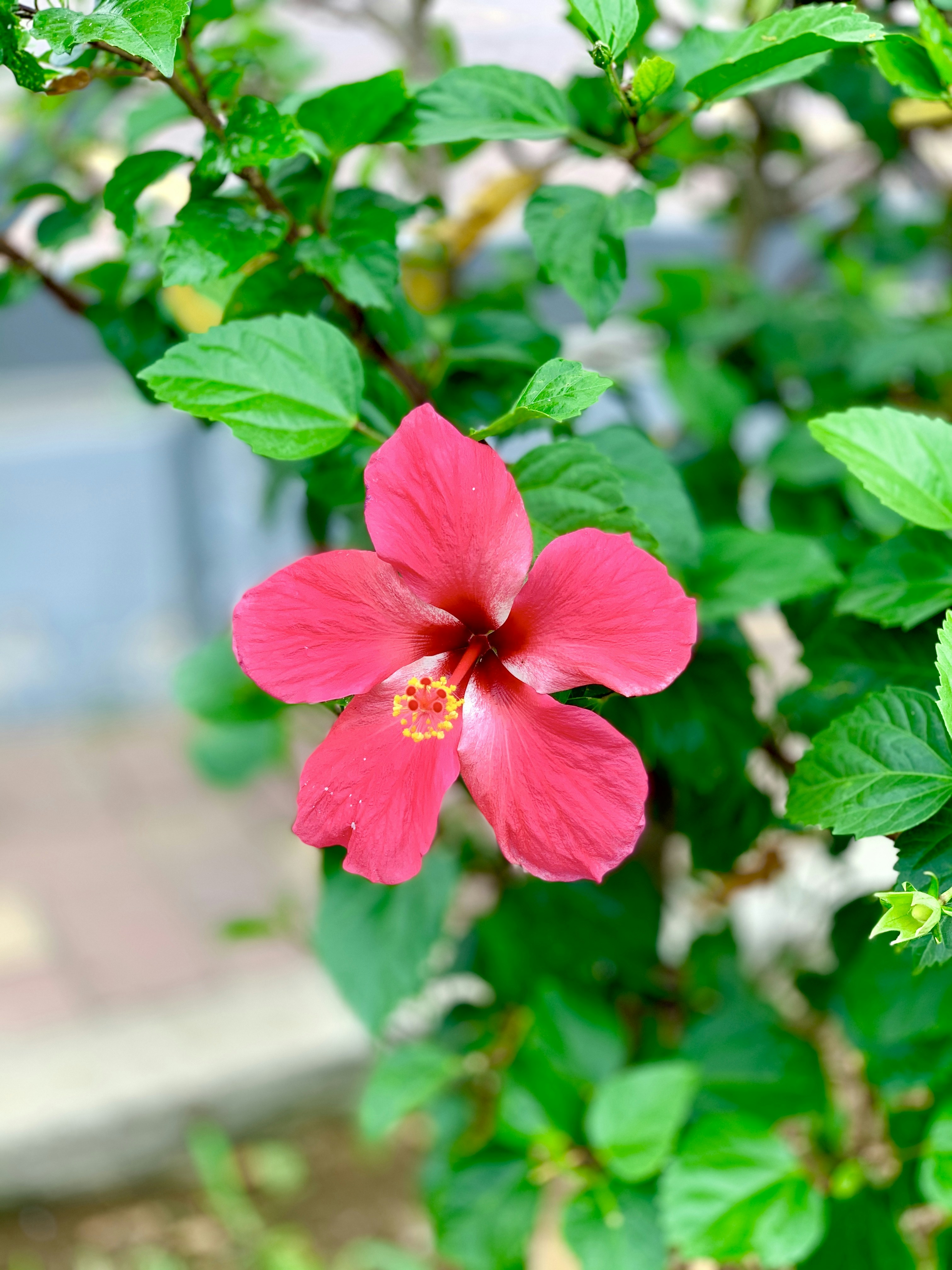 Photo by jonathan_moreira