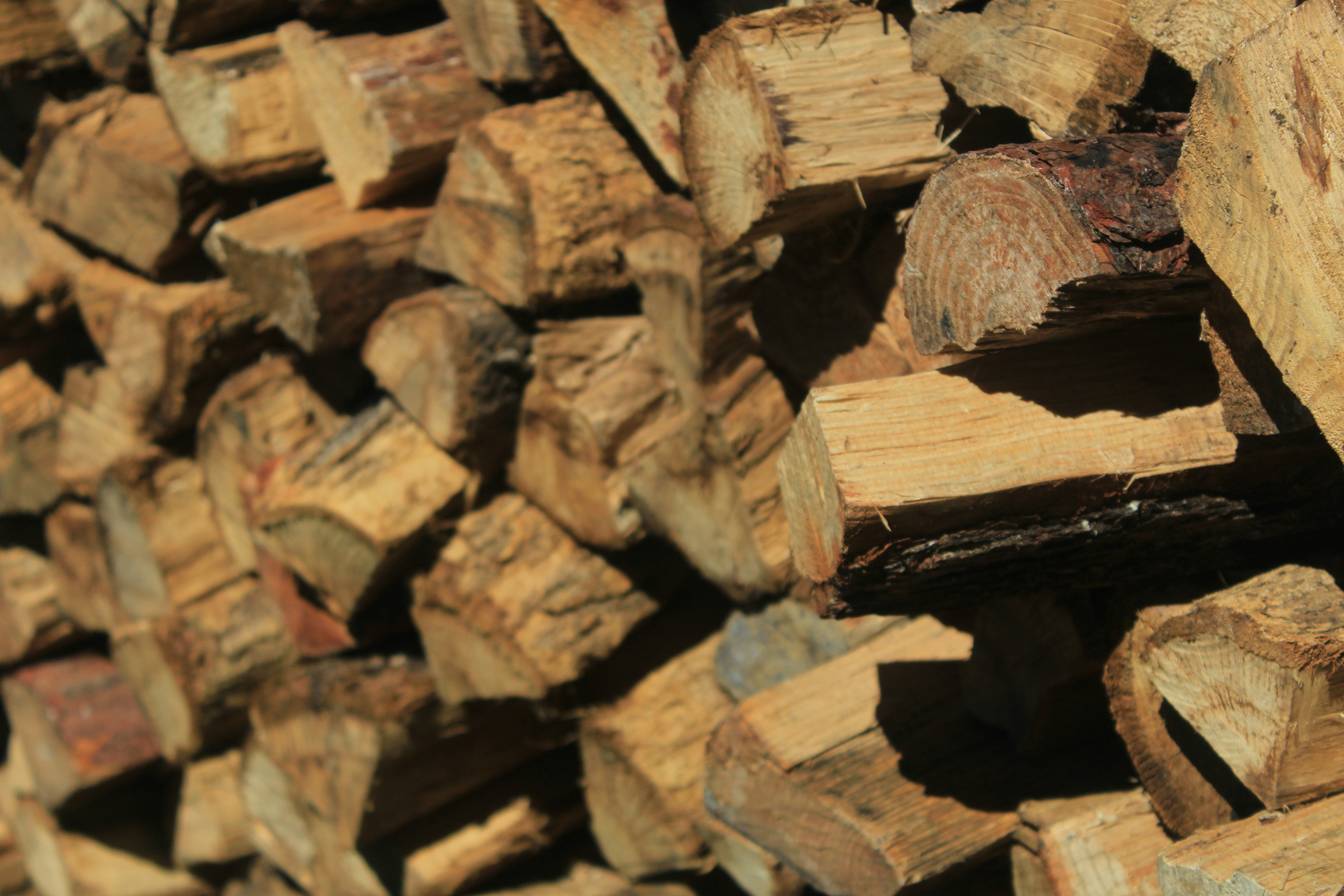 Photo by jeremyboley