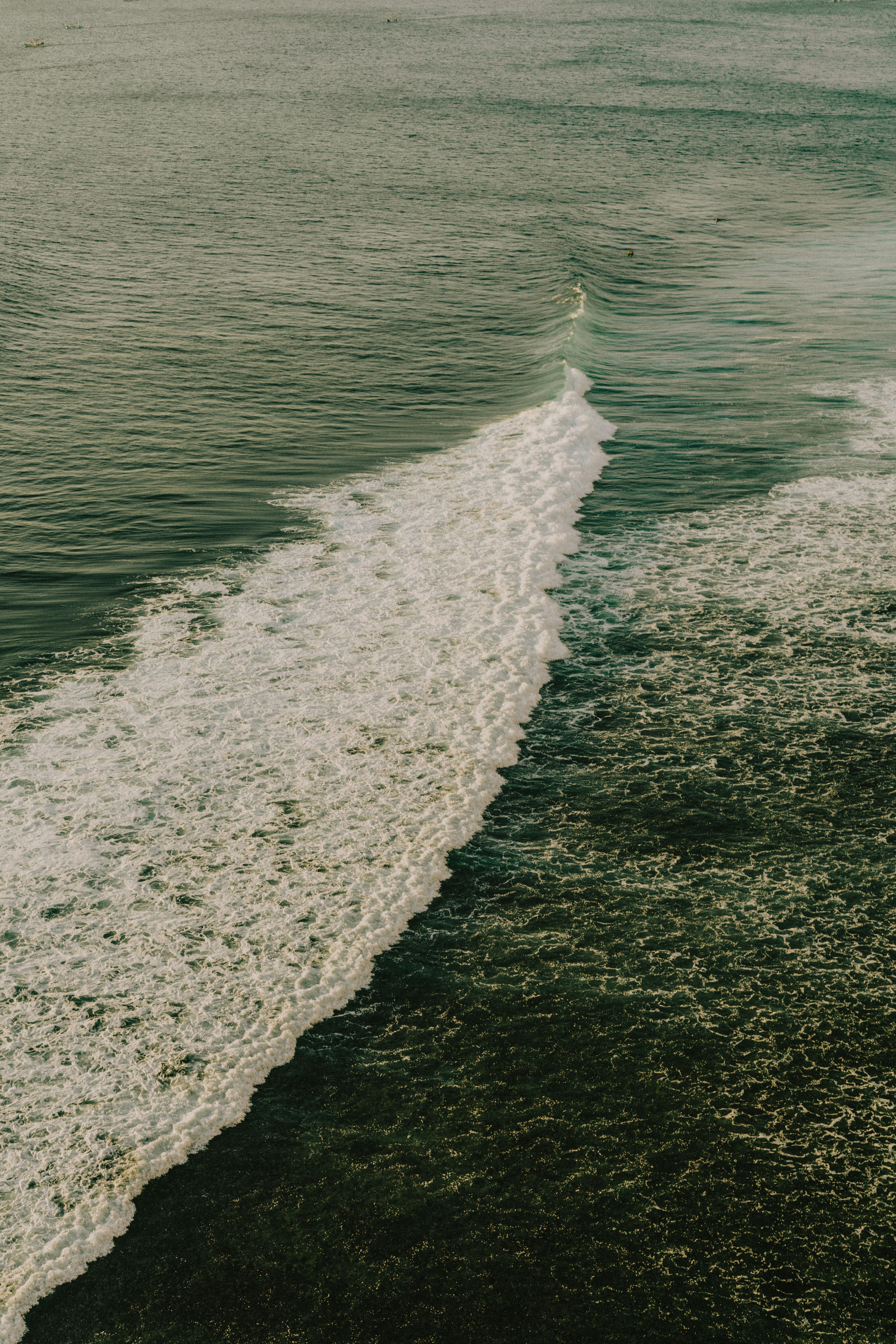 Photo by adiyogiriana