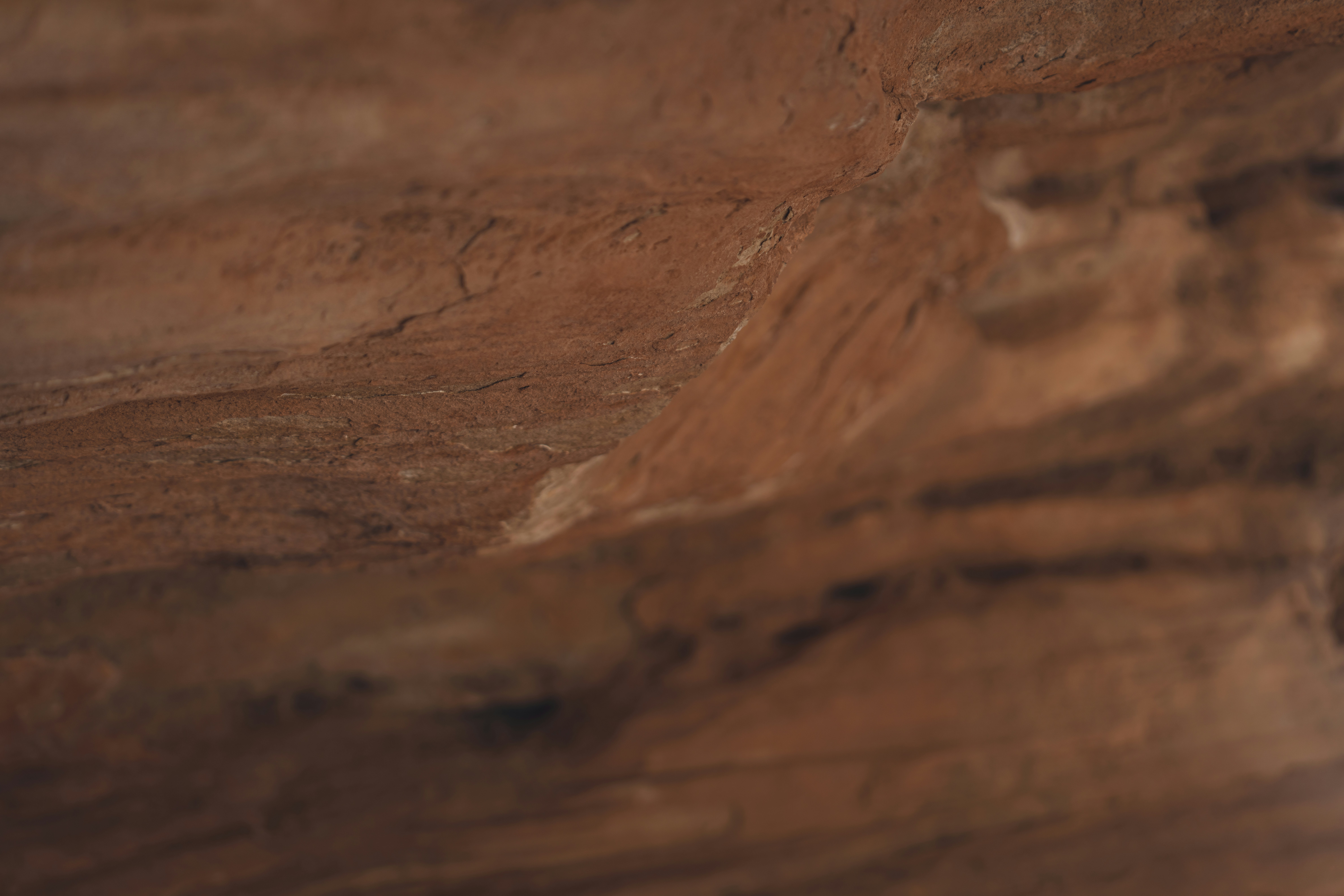 Photo by lauraintacoma