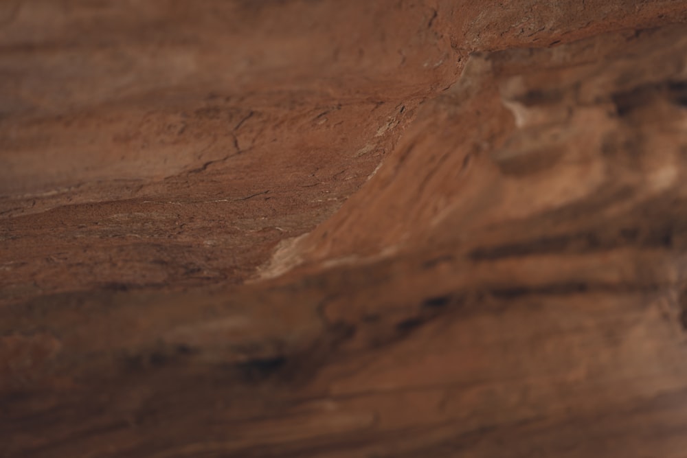 a close up of a rock face with a blurry background