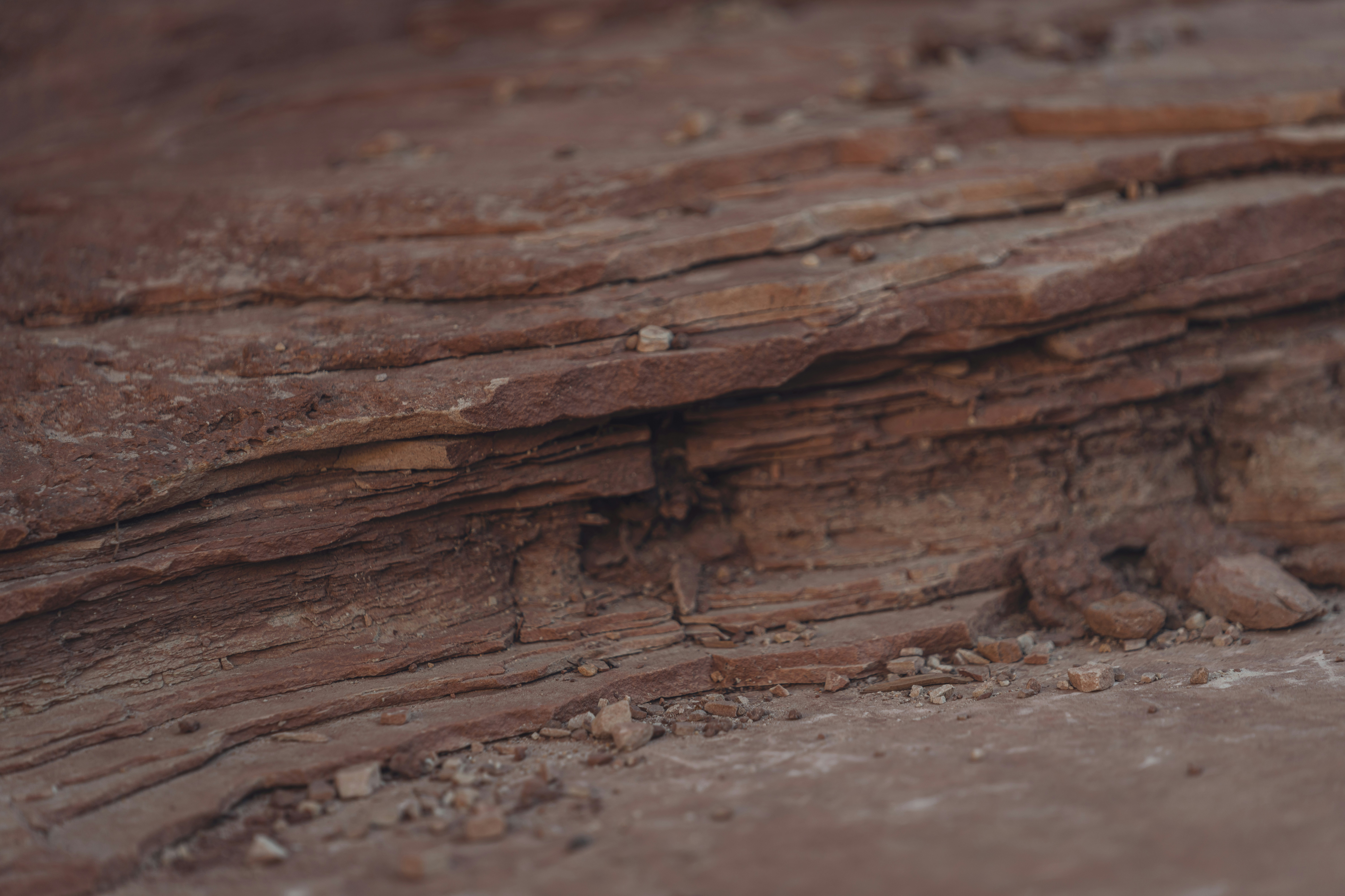 Photo by lauraintacoma