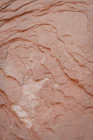 Close-up of rich, layered earthy tones on a feature wall in a boutique store.