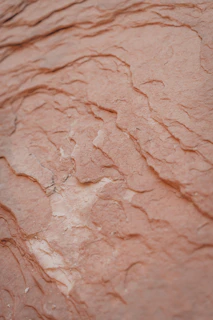 Close-up of rich, layered earthy tones on a feature wall in a boutique store.